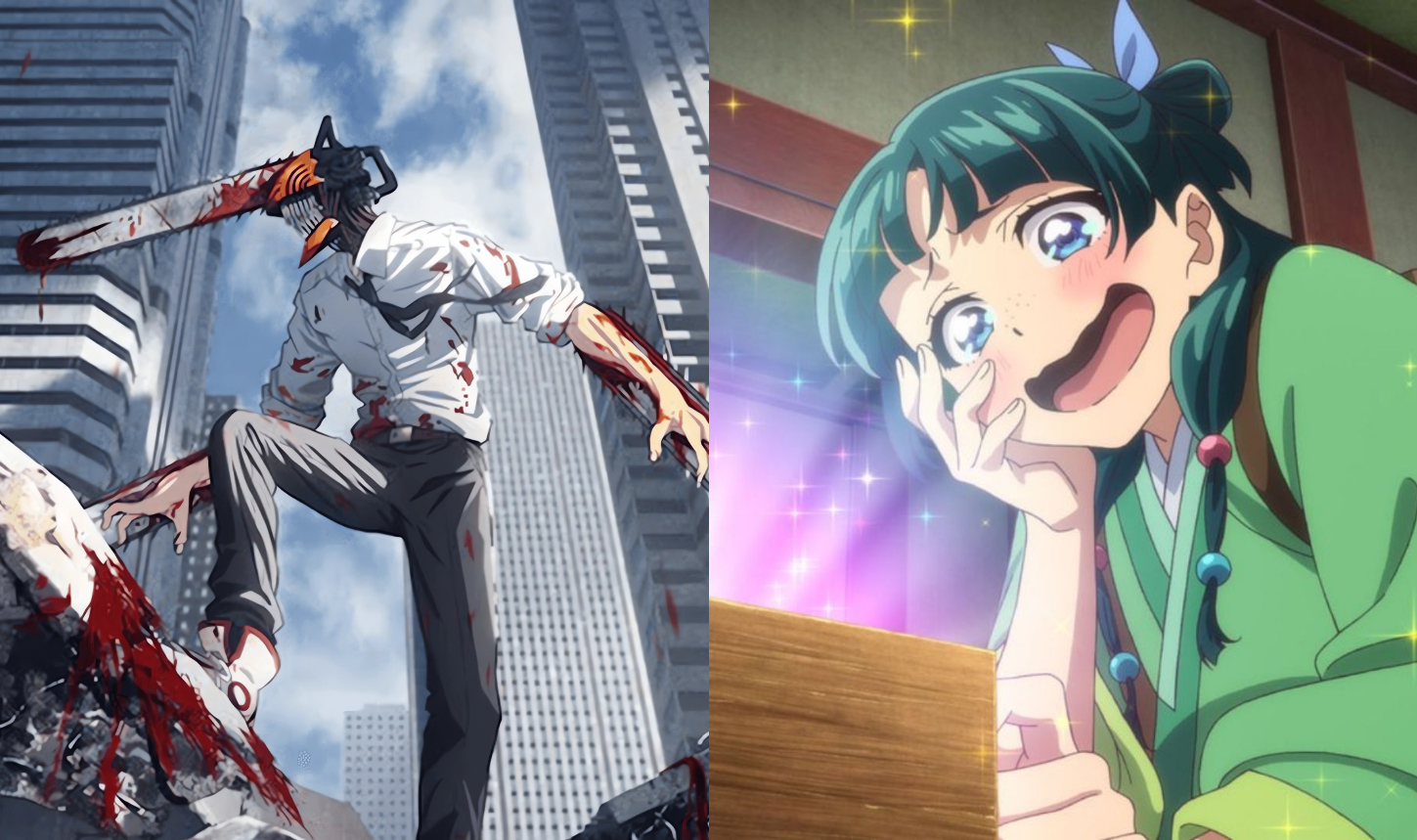 《动画链锯人与药师少女的独语截图。